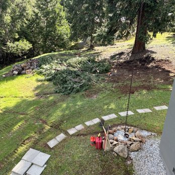 C Lee Tree Service - In the process - Tree Services Near Me C Lee Tree Service - In the process - Tree Services Near Me