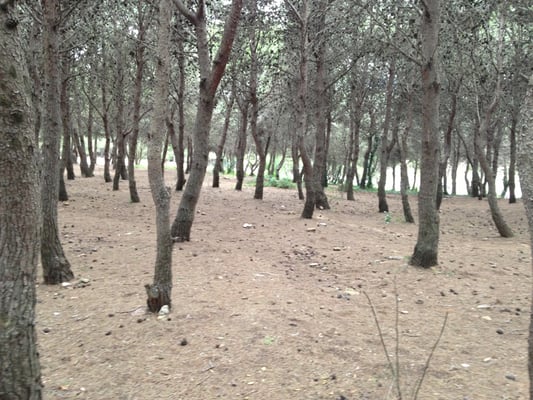Montjuïc Castle by null Montjuïc Castle by null