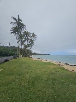 Punaluʻu Beach by null