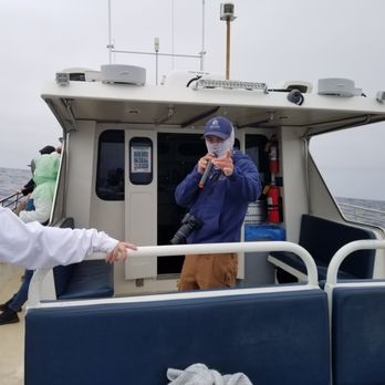 Discovery Whale Watch - Whale Watching Tours Near Me - Monterey, California