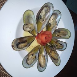Nopalitos - Mussels
