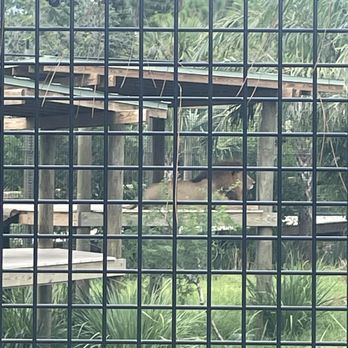 Brevard Zoo - Zoos Near Me - Melbourne, Florida Brevard Zoo - Zoos Near Me - Melbourne, Florida