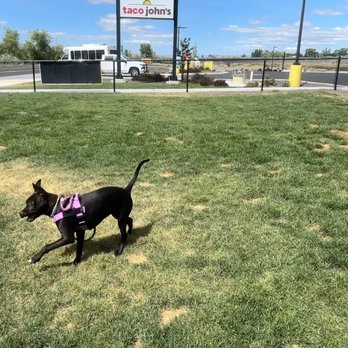 Love's Travel Stop - Dog Park - Commercial Truck Repair Near Me - Moses Lake, Washington Love's Travel Stop - Dog Park - Commercial Truck Repair Near Me - Moses Lake, Washington