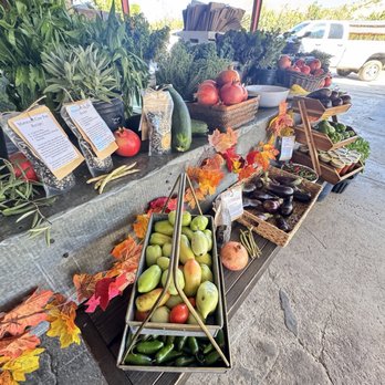 Bloom Ranch Of Acton - Fresh produce - Farms Near Me - Acton, California