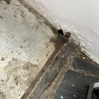 Zoifia - Rodent entry point in baseboard. - Pest Control Near Me