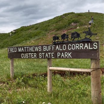 Custer State Park - Parks Near Me - Custer, South Dakota