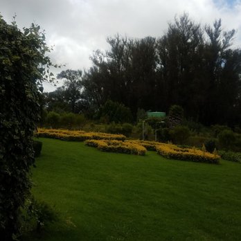 Maui Lavender & Botanicals - Organic Stores Near Me - Kula, Hawaii Maui Lavender & Botanicals - Organic Stores Near Me - Kula, Hawaii
