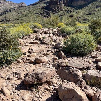 Hieroglyphic Trail Hoa - The trail, getting rockier. - Hiking Near Me - Gold Canyon, Arizona Hieroglyphic Trail Hoa - The trail, getting rockier. - Hiking Near Me - Gold Canyon, Arizona