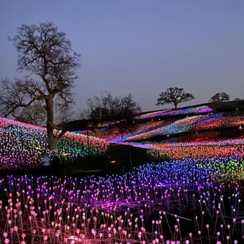 Sensorio - Art Galleries Near Me - Paso Robles, California