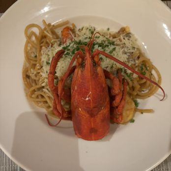 Balos Estiatorio - LOBSTER PASTA Maine lobster bucatini, bisque sauce, graviera - Seafood Near Me - Washington, DC, District of Columbia Balos Estiatorio - LOBSTER PASTA Maine lobster bucatini, bisque sauce, graviera - Seafood Near Me - Washington, DC, District of Columbia