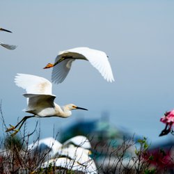 D Allen Martin Photography - Fine art photography