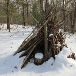 Oak Knoll Wildlife Sanctuary - Weird thing
