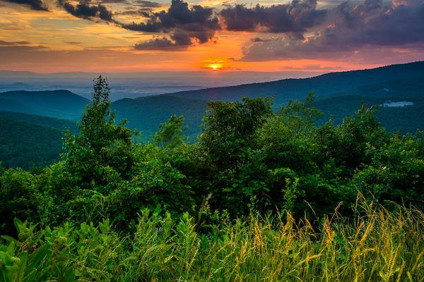 Slide of Roto-Rooter