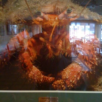 El Torero Mexican Restaurant - a large crab - Mexican Near Me - Roswell, Georgia