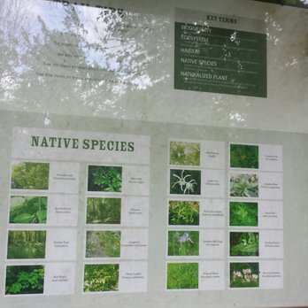 Woodlands Conservancy - Community Service/Non-Profit Near Me - Belle Chasse, Louisiana Woodlands Conservancy - Community Service/Non-Profit Near Me - Belle Chasse, Louisiana