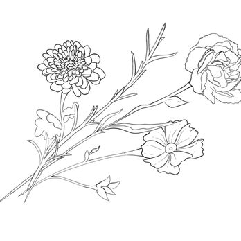 Gold Sparrow Tattoo - My tattoo concept design. - Tattoo Near Me - Portland, Oregon Gold Sparrow Tattoo - My tattoo concept design. - Tattoo Near Me - Portland, Oregon
