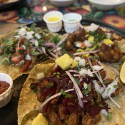 Mexican Fiesta Taqueria - Chimichurri Steak Taco, Blackened Shrimp Taco, & Carnitas Taco