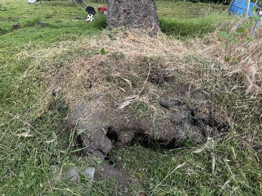 Slide of Ubaldino Tree Service