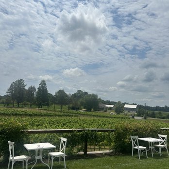 Two Lions Vineyards - Wineries Near Me - Upper Marlboro, Maryland Two Lions Vineyards - Wineries Near Me - Upper Marlboro, Maryland