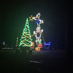 Lake Julian Park