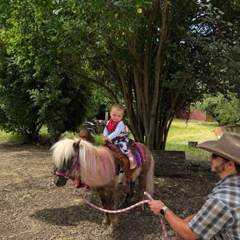 Blue Copper Farm - Petting Zoos Near Me
