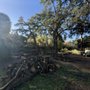 Photo of R&B Quality Tree Care