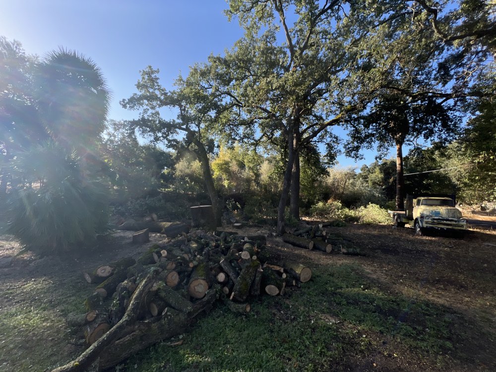 R&B Quality Tree Care - tree service in Roseville, CA