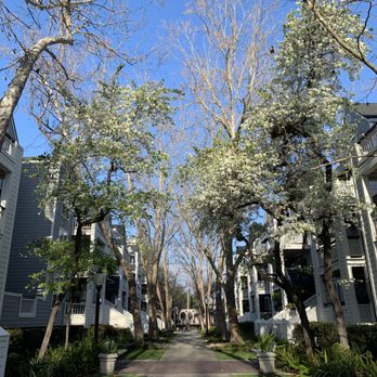 Park Place Apartments - Apartments Near Me - Mountain View, California Park Place Apartments - Apartments Near Me - Mountain View, California