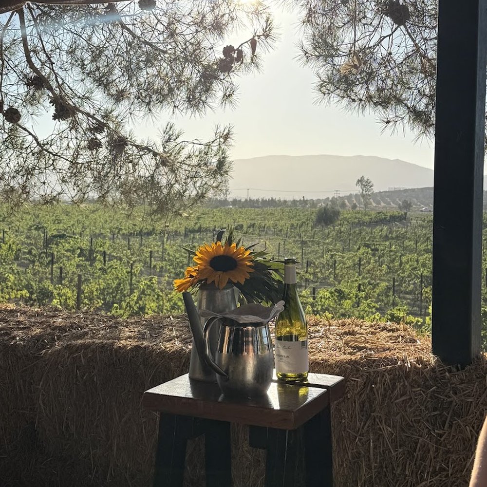Deckman's en el Mogor - View from the table - Modern European Near Me - San Antonio de Las Minas, BCN Deckman's en el Mogor - View from the table - Modern European Near Me - San Antonio de Las Minas, BCN
