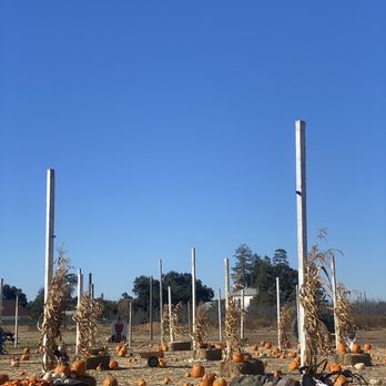 Jacobs Farms - a field of pumpkins and corn - Pumpkin Patches Near Me - San Jose, California Jacobs Farms - a field of pumpkins and corn - Pumpkin Patches Near Me - San Jose, California