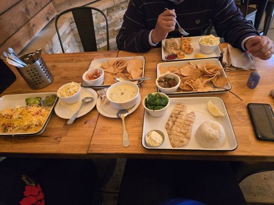 Fish 101 Leucadia by null