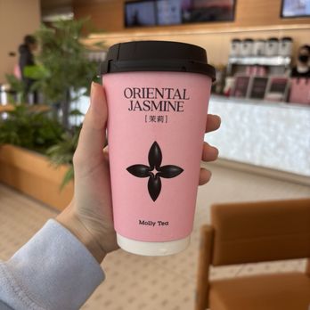 Molly Tea - Jasmine Milk Tea - Bubble Tea Near Me - Sunnyvale, California Molly Tea - Jasmine Milk Tea - Bubble Tea Near Me - Sunnyvale, California