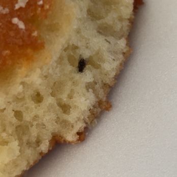 Cardenas Markets - A fly in the bread was baked in - Mexican Near Me - Riverside, California Cardenas Markets - A fly in the bread was baked in - Mexican Near Me - Riverside, California