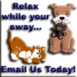 A Best Friend's Buddy - email us today! mishamurd@wowway.com