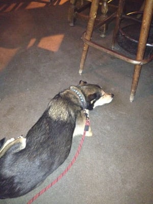 Sully's Snow Goose Saloon by null