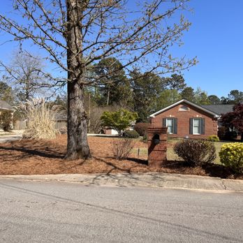 Maintain Southern Landscapes - a tree in a residential neighborhood - Landscaping Near Me Maintain Southern Landscapes - a tree in a residential neighborhood - Landscaping Near Me