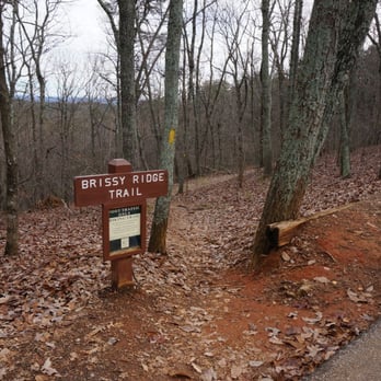 Paris Mountain State Park - Brissy Ridge start - difficult trail ahead - Lakes Near Me - Greenville, South Carolina Paris Mountain State Park - Brissy Ridge start - difficult trail ahead - Lakes Near Me - Greenville, South Carolina