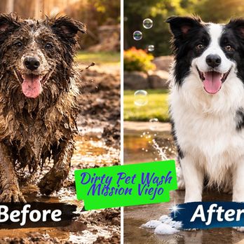 Dirty Pet Wash - All that rain = one muddy dog!
Before they track it through your house, car, and everything else... Bring them to Dirty Pet Wash! - Pet Groomers Near Me - Mission Viejo, California Dirty Pet Wash - All that rain = one muddy dog!
Before they track it through your house, car, and everything else... Bring them to Dirty Pet Wash! - Pet Groomers Near Me - Mission Viejo, California