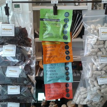 George - Pet Stores Near Me - San Ramon, California