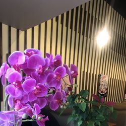 Dumplings N More - Interior entry and only indoor dining