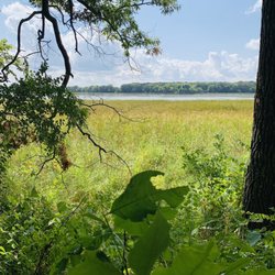 Rice Lake State Park
