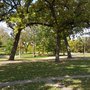 Photo of Shore Acres Park