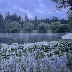 Blue Lake RV Resort - A misty morning
