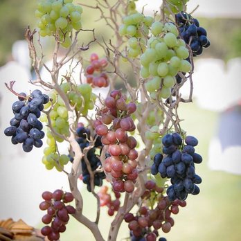 Martino's Catering - Caterers Near Me - Ventura, California