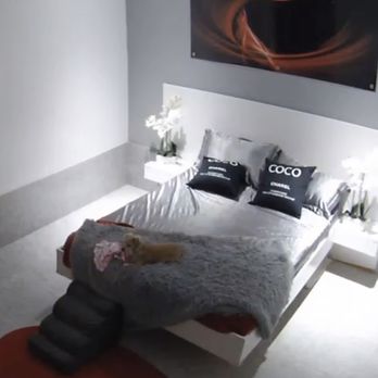 Luxe Pet Hotels - My dog in her celebrity suite .! - Pet Boarding Near Me - Las Vegas, Nevada