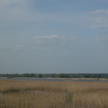 Oderdeich - Die Oder - Active Life Near Me