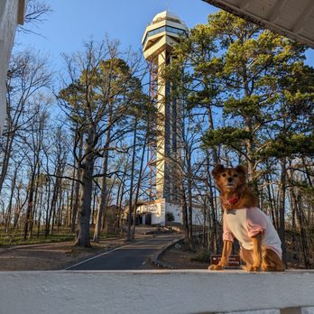 Hot Springs Mountain Tower - Cute dog may not be present upon your visit - Landmarks & Historical Buildings Near Me - Hot Springs, Arkansas Hot Springs Mountain Tower - Cute dog may not be present upon your visit - Landmarks & Historical Buildings Near Me - Hot Springs, Arkansas