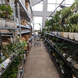 Lowe's Home Improvement - A vibrant, verdant garden section, replete with chirping birds