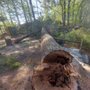 Photo of High View Tree Service