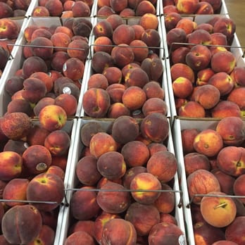 Lane Packing - Farmers Market Near Me - Fort Valley, Georgia